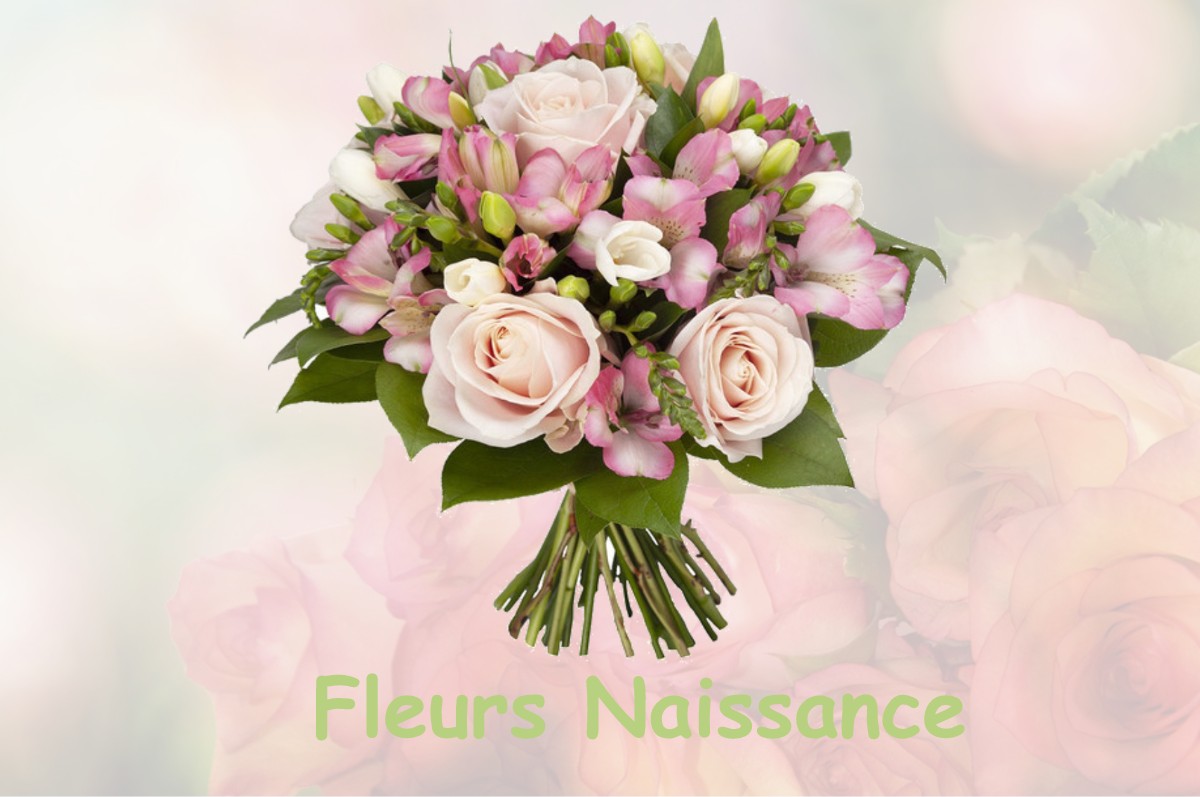 fleurs naissance LE-PLESSIS-GRAMMOIRE