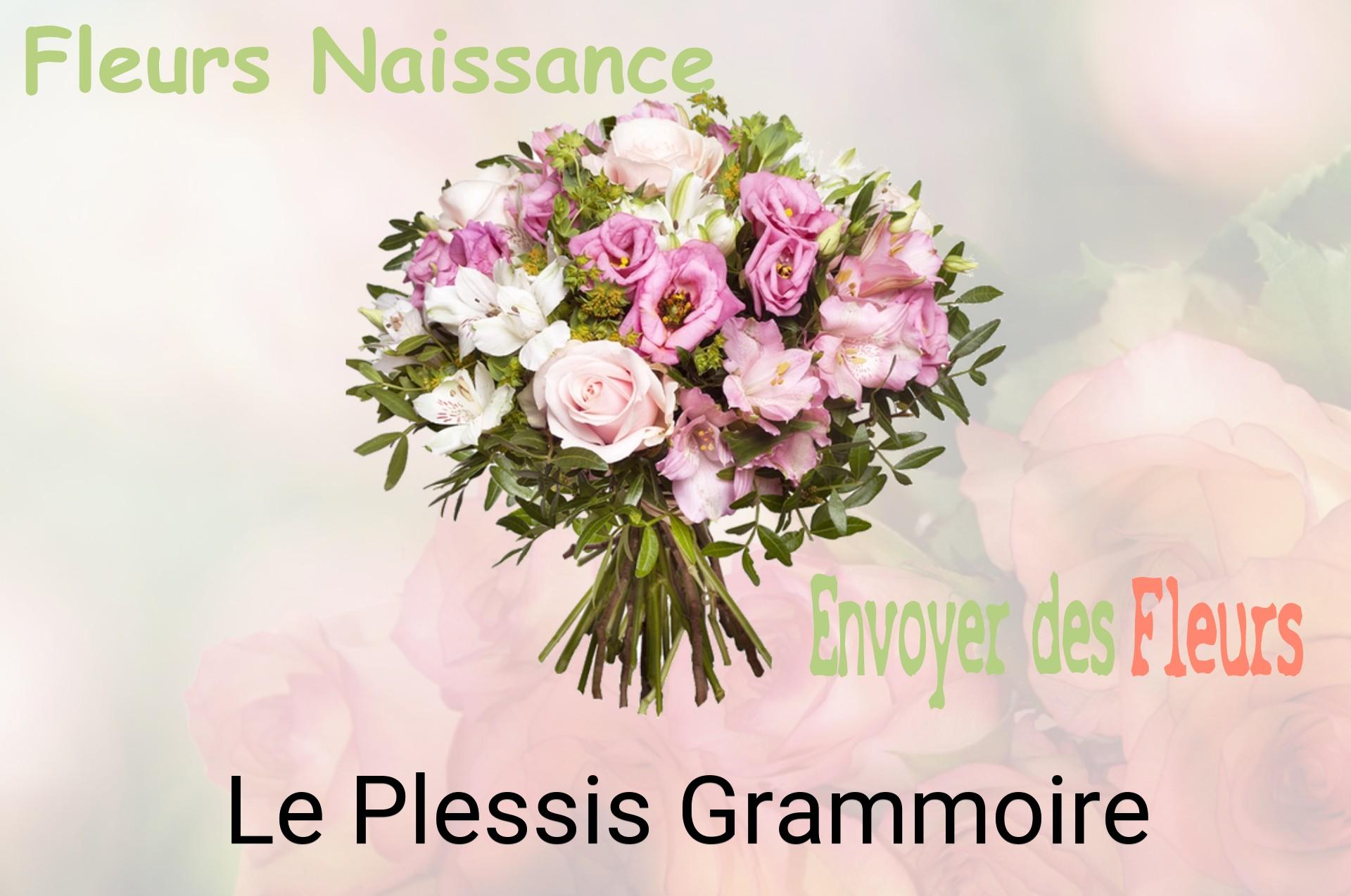 Bouquet de fleurs de naissance livré à Le Plessis-Grammoire