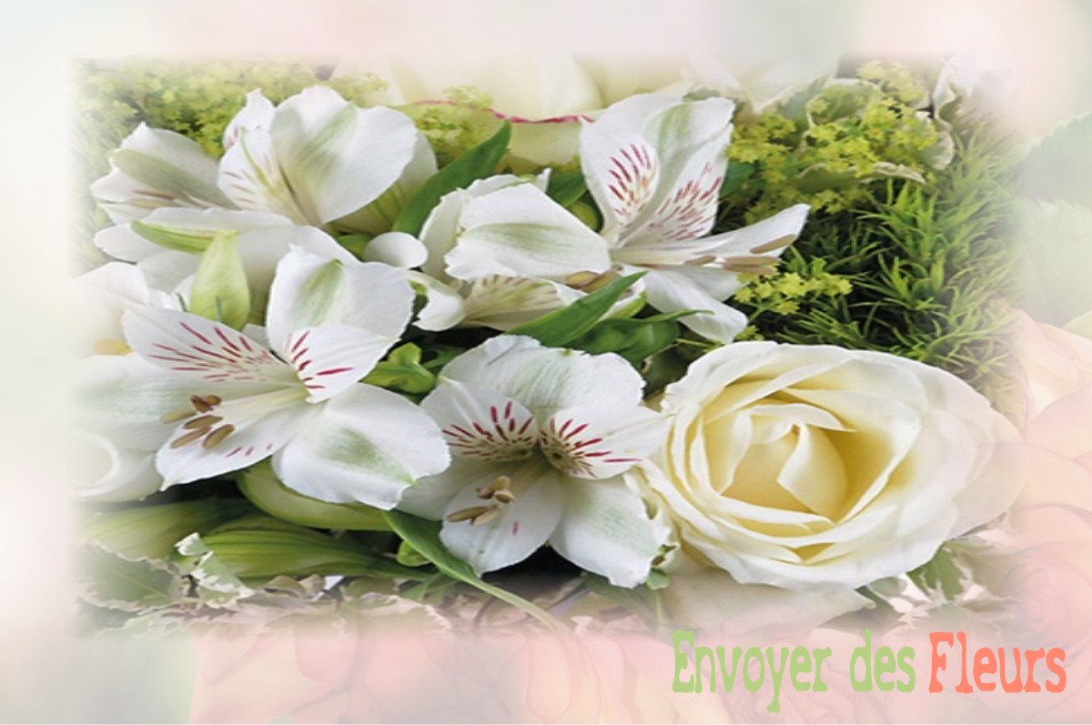 envoyer des fleurs à à LE-PLESSIS-GRAMMOIRE