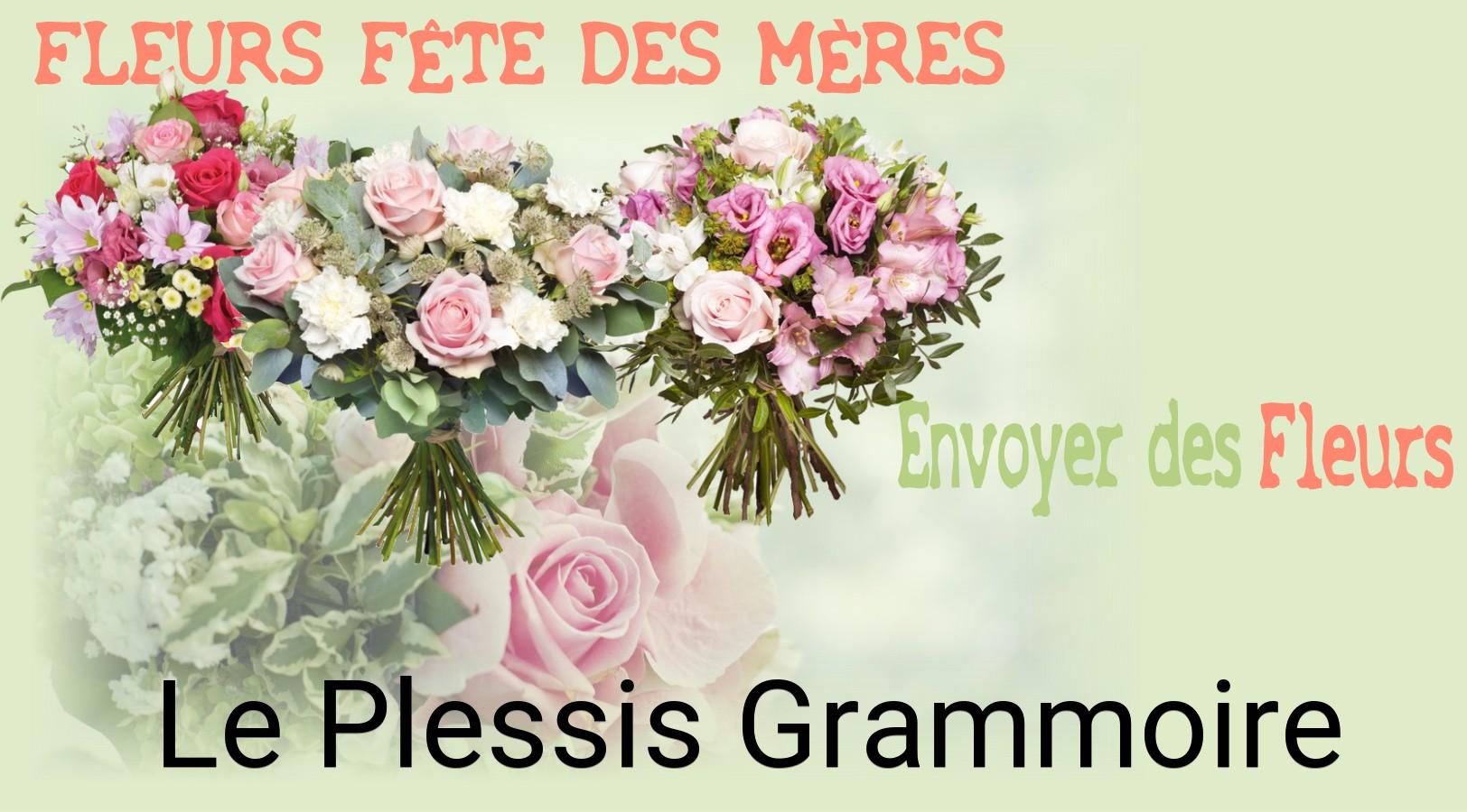 Bouquet de Fête des Mères livré à Le Plessis-Grammoire